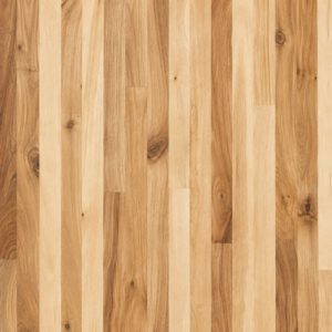 Acacia — Butcher Block sample