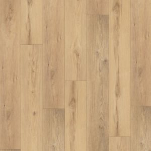 Almond — Ultra Adisa sample