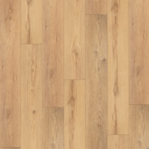 Almond — Ultra Noor sample