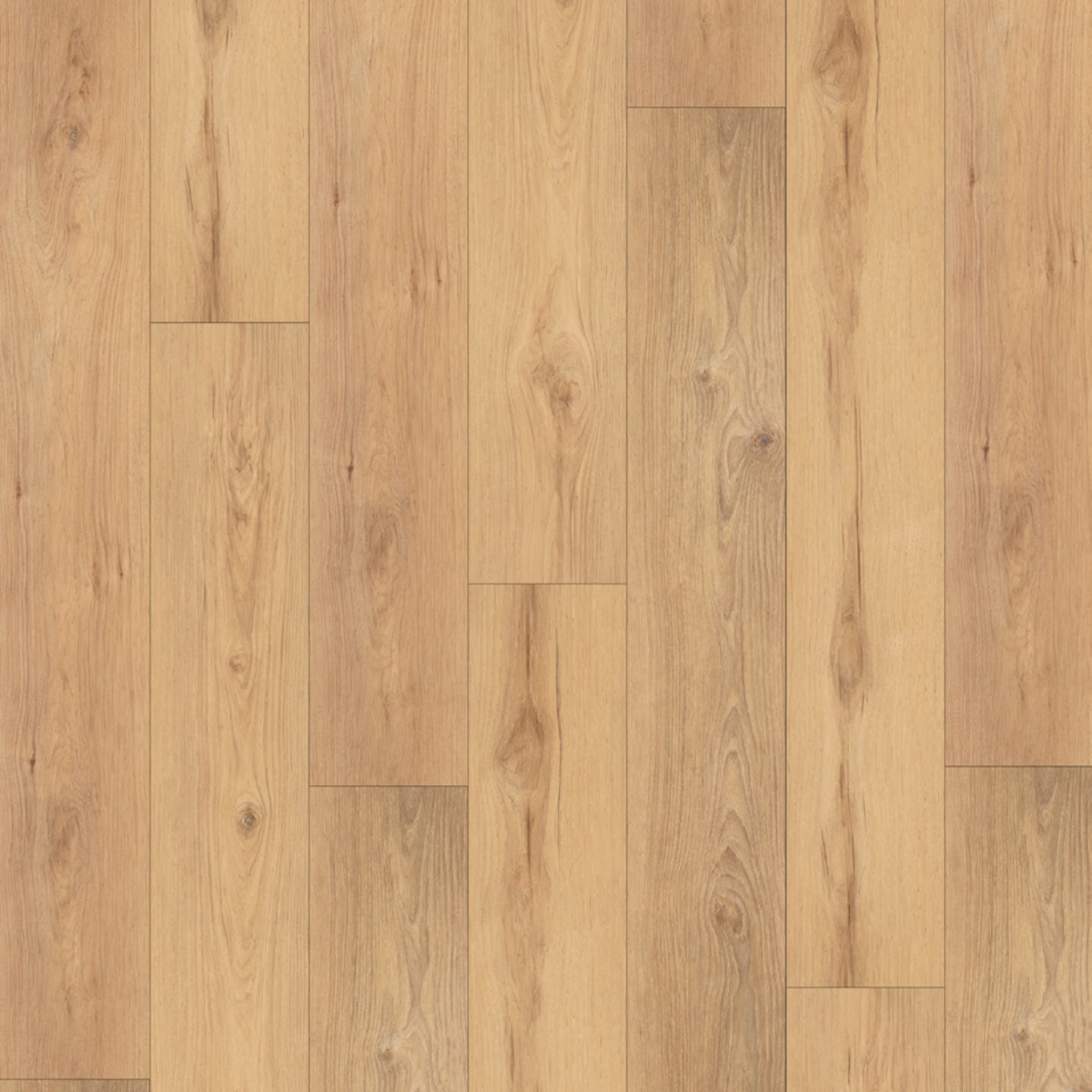 Co-UltraNoor-material- Almond Ultra Noor Collection – Almond Luxury Vinyl Plank - Image 1